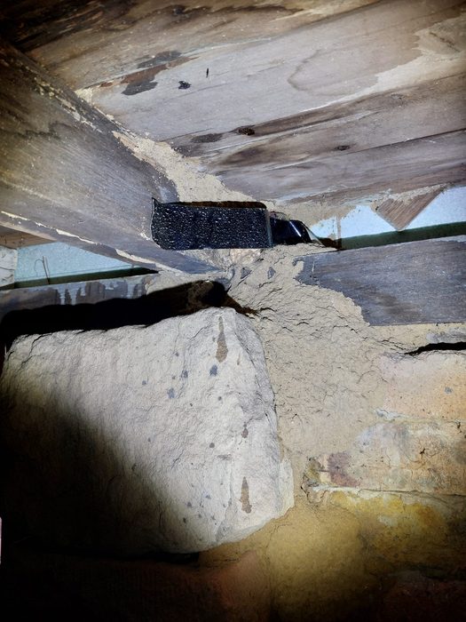 Active termite mud leads on structural subfloor timber — Melbourne home