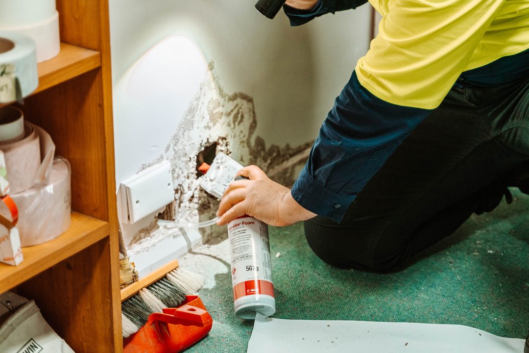 Termidor foam treatment being applied to termite damage