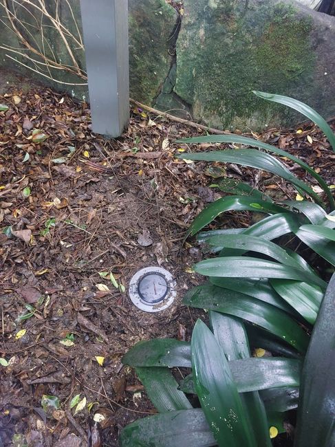 Trelona bait station installed in garden — BugFree termite protection Melbourne